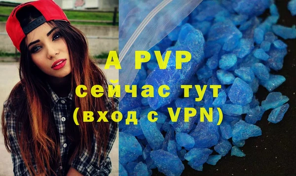 apvp Белокуриха